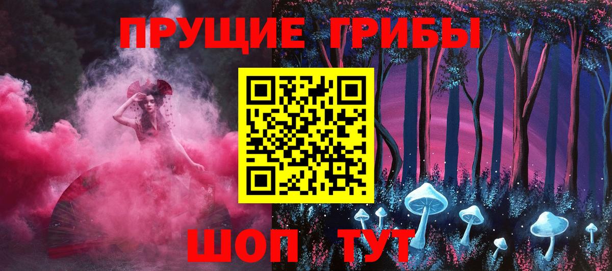 Псилоцибиновые грибы Psilocybe Юрга