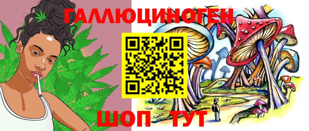 Галлюциногенные грибы Psilocybe  Псилоцибиновые грибы MAGIC MUSHROOMS  Юрга  Вход с VPN 